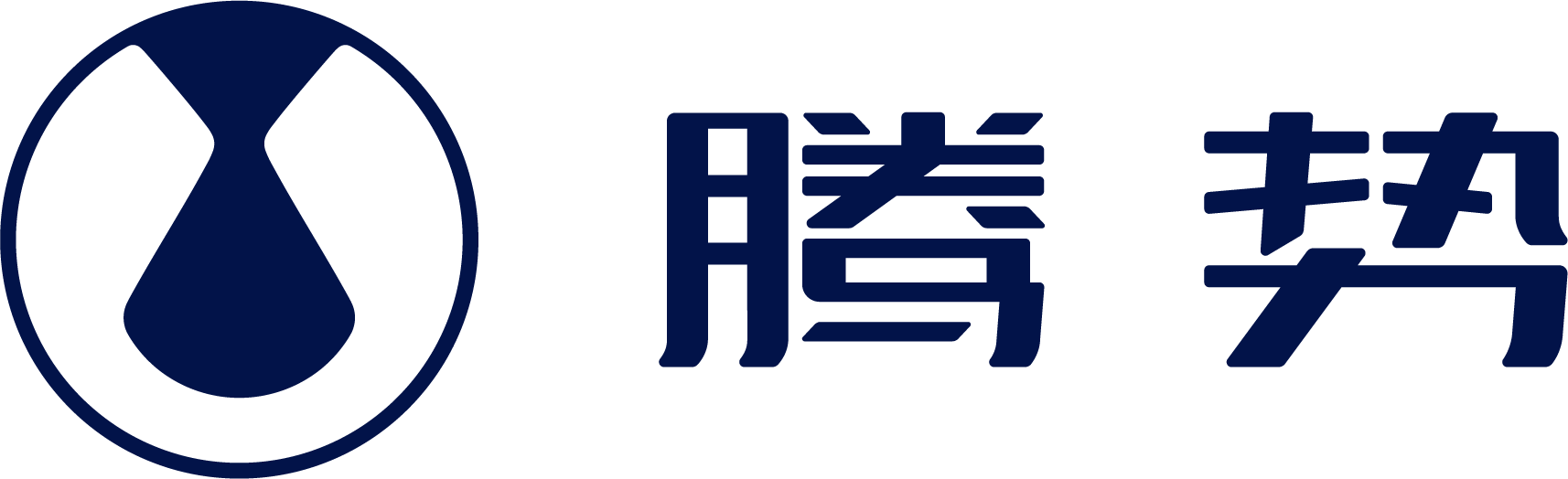 10 比亚迪腾势