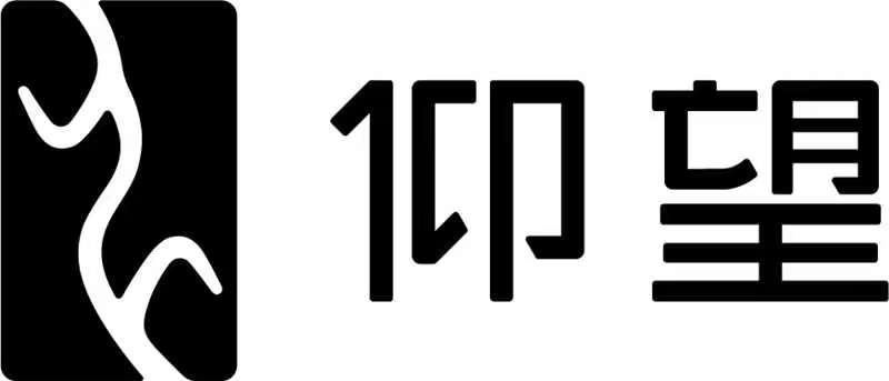 11 比亚迪仰望